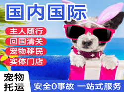 深圳宝安航空快运国际宠物托运 【国